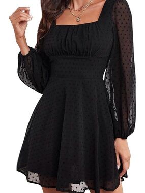 Sheer Swiss Dot Long Sleeve Skater Dress in Black